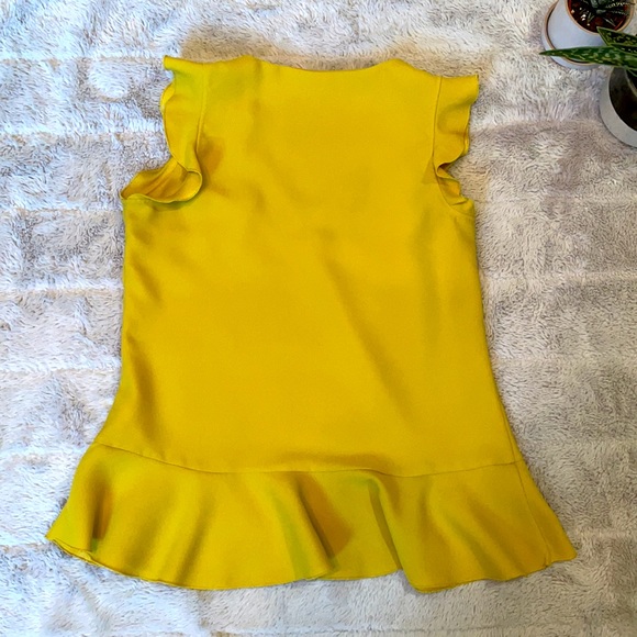 🌟Host Pick🌟 BR V-neck Peplum Top - Picture 2 of 4